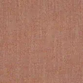 SALONE 064